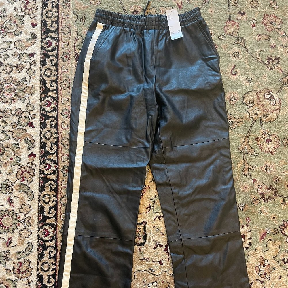 Urban Outfitters Faux Leather Pants (S)